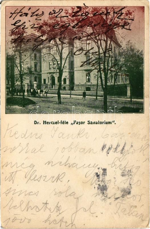 1917 Budapest VII. Városligeti fasor 9-13., Dr. Herczel-féle 'Fasor Szanatórium' (EK)
