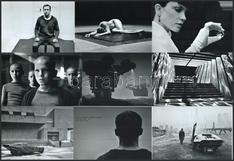 cca 1982 ,,A szárnyas fejvadász' című amerikai - hongkongi film jelenetei és szereplői, 13 db mai nagyítás egy mozigépész hagyatékából, 10x15 cm