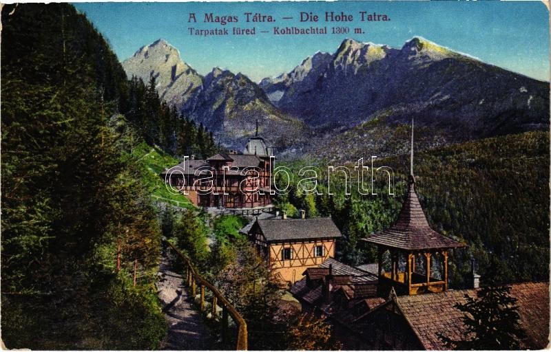 1916 Tátra, Magas-Tátra, Vysoké Tatry; Kolbachtal / Tarpatakfüred (EK)