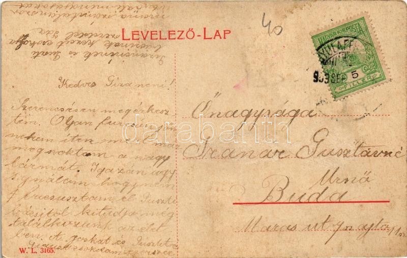 1909 Gyulafehérvár, Karlsburg, Alba Iulia; Hunyadi tér, piac. W.L. 3165. / market square (Rb) - Image 2