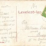 1908 Szatmárnémeti, Satu Mare; Pannonia szálló, üzletek. Cseplák Bálint kiadása (W.L. ?) / hotel, shops (EK) - Image 2