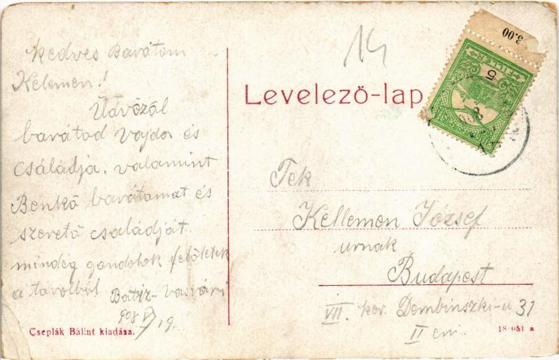 1908 Szatmárnémeti, Satu Mare; Pannonia szálló, üzletek. Cseplák Bálint kiadása (W.L. ?) / hotel, shops (EK) - Image 2