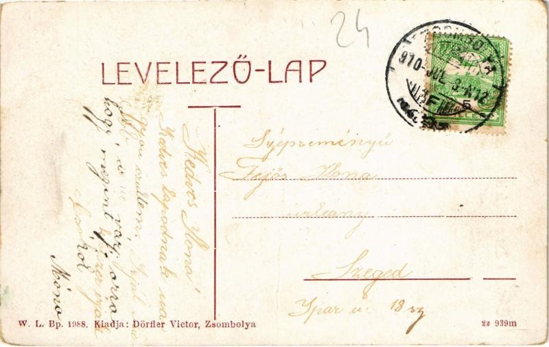 1910 Zsombolya, Hatzfeld, Jimbolia; Gróf Csekonics kastély. W.L. Bp. 1988. Dörfler Victor kiadása / castle - Image 2