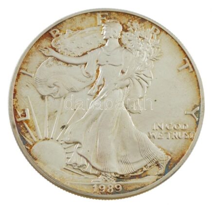Amerikai Egyesült Államok 1989. 1$ Ag 'Amerikai Sas / Walking Liberty' német nyelvű tanúsítvánnyal, műanyag dísztokban T:1,1- patina USA 1989. 1 Dollar Ag 'American Silver Eagle / Walking Liberty' with a german certificate in plastic case