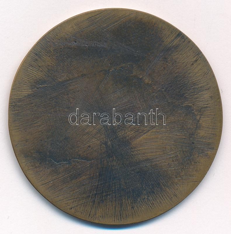 Fritz Mihály (1947-) DN 'Juhász Gyula' egyoldalas bronz emlékérem (55mm) T:2 - Image 2