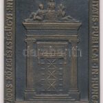 1975. 'Országos Közegészségügyi Intézet Budapest 1925-1975, 1945-1975' egyoldalas bronz plakett (67x48mm) T:1-
