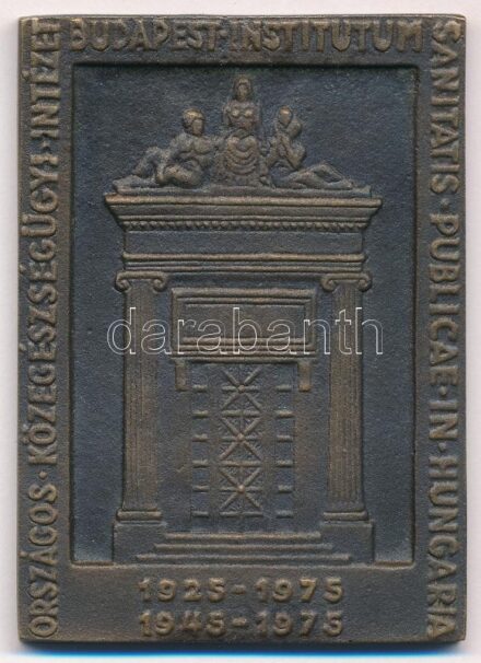 1975. 'Országos Közegészségügyi Intézet Budapest 1925-1975, 1945-1975' egyoldalas bronz plakett (67x48mm) T:1-