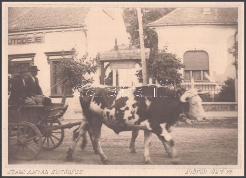 1927 Siófok, Szabó Antal sütödéje, ökrös szekér, kartonra kasírozva, 12×17 cm - Image 2
