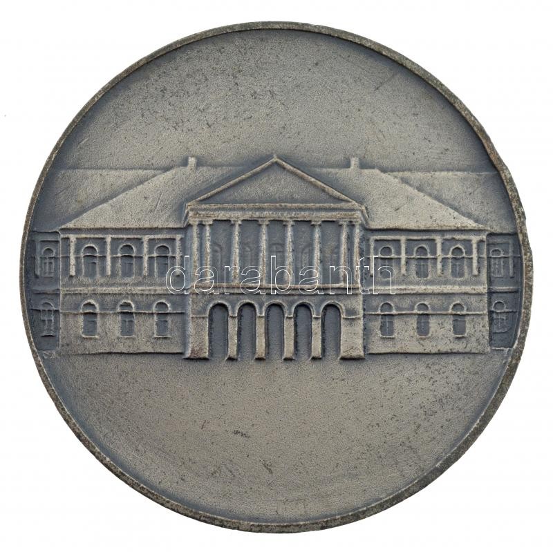 DN 'Makó' kétoldalas, ezüstpatinázott bronz emlékérem (60mm) T:1- kopott ezüstözés, kis ph - Image 2
