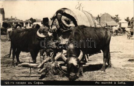 Sofia, Sophia, Sofiya; Au marché / market, buffalo cart. Gr. Paskoff