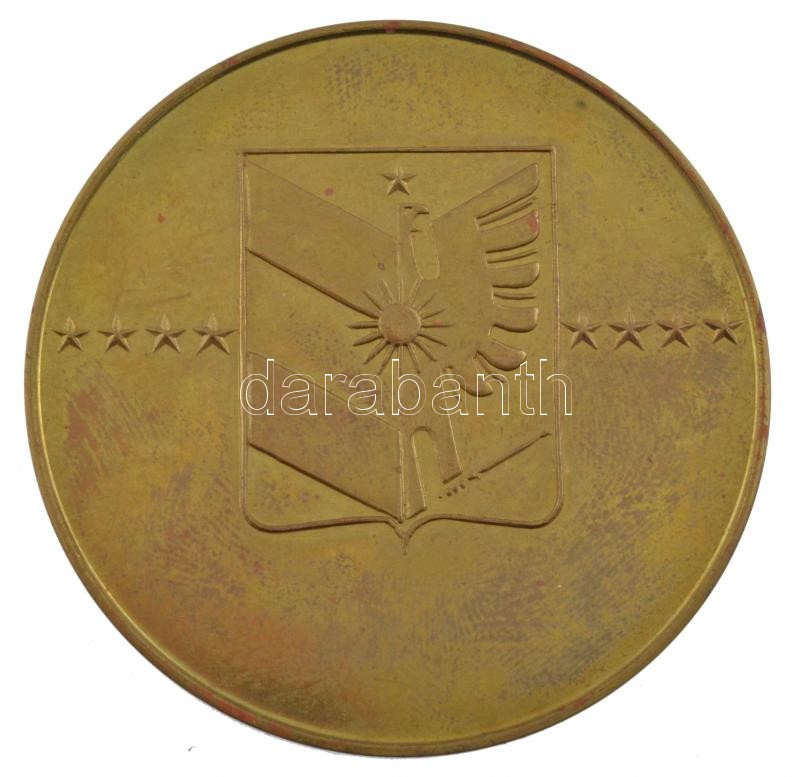 Fritz Mihály (1947-) DN 'Szeged Lakóterületi Pártmunkáért' kétoldalas fém emlékérem (60mm) T:1- patina - Image 2