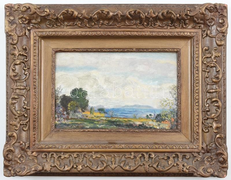 Magyar Mannheimer Gusztáv (1859-1937): Balatoni táj. Olaj, fa. Jelezve középen lent. Dekoratív fakeretben. 16x25,5 cm