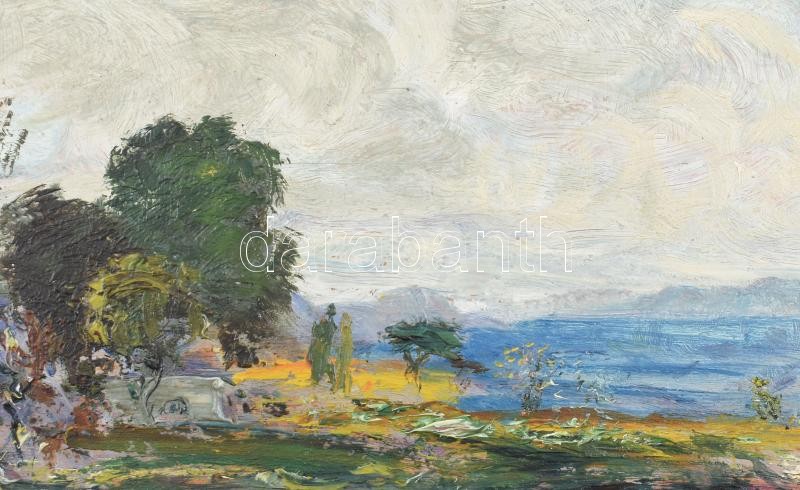 Magyar Mannheimer Gusztáv (1859-1937): Balatoni táj. Olaj, fa. Jelezve középen lent. Dekoratív fakeretben. 16x25,5 cm - Image 2