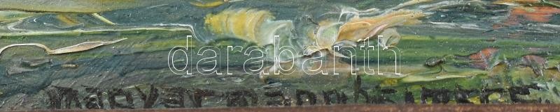 Magyar Mannheimer Gusztáv (1859-1937): Balatoni táj. Olaj, fa. Jelezve középen lent. Dekoratív fakeretben. 16x25,5 cm - Image 3