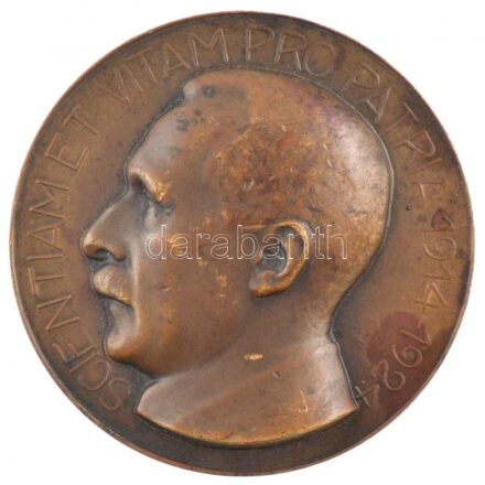 Szentgyörgyi István (1881-1939) 1924. 'Dr. Verebély Tibor - SCIENTIAM ET VITAM PRO PATRIA 1914-1924 (Tudomány és Élet az országért)' egyoldalas bronz emlékérem (60mm) T:2,2- patina, karc, ü. HP 5174.