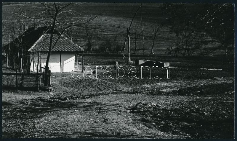 1975 Veres András kazincbarcikai fotóművész hagyatékából feliratozott, pecséttel jelzett, vintage fotóművészeti alkotás (Tanya), ezüst zselatinos fotópapíron, 14x24 cm