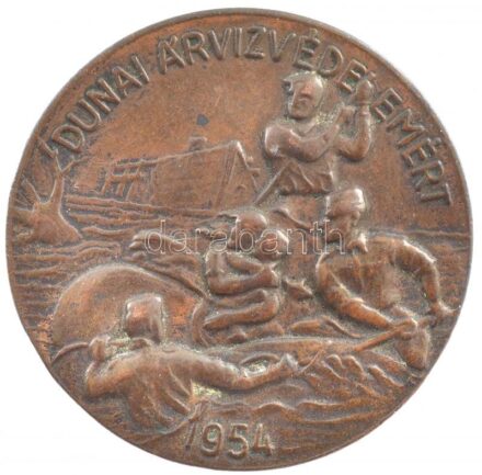 1954. 'Dunai árvízvédelemért' bronz jelvény (37mm) T:2