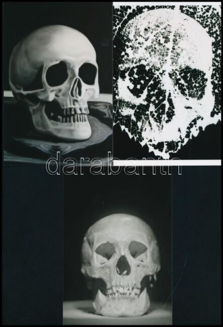 Koponyák tétele, 3 db mai nagyítás különféle leletekből, 15x10 cm