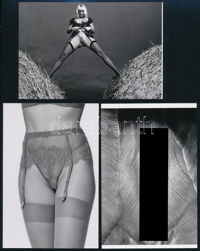 Eltérő időben készült csiklandós felvételek, 5 db mai nagyítás különféle forrásokból, 15x10 cm - Image 2