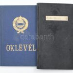 1973-1979 Mezőgazdasági gépészmérnök oklevél és leckekönyv