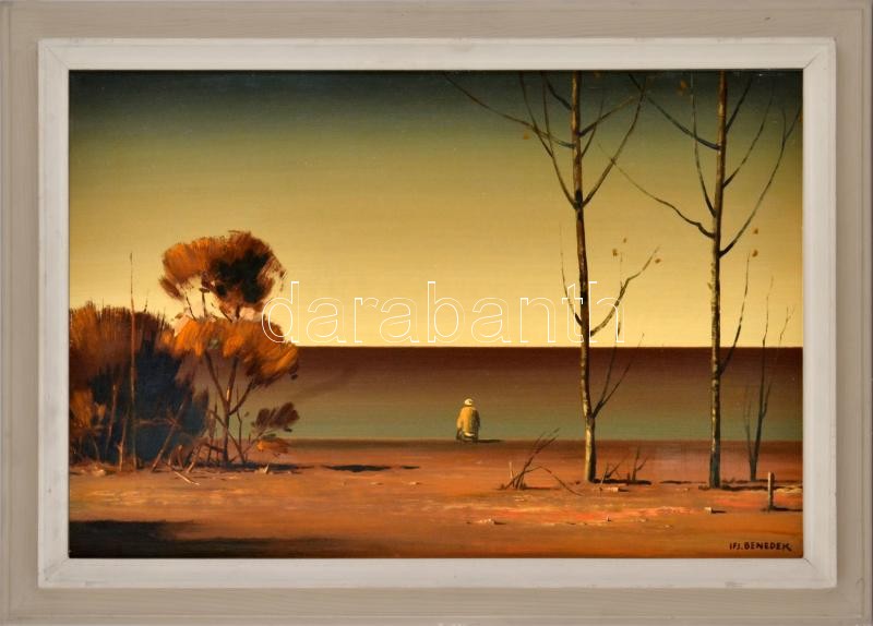 ifj. Benedek Jenő (1939 - 2019): Ősszel. Olaj, farost, jelzett, üvegezett fakeretben, 40x60cm