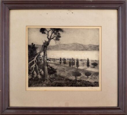 Biai-Föglein István (1905-1974): Letört ágú fa. Rézkarc, papír, jelzett, üvegezett fakeretben, 24,5×29 cm