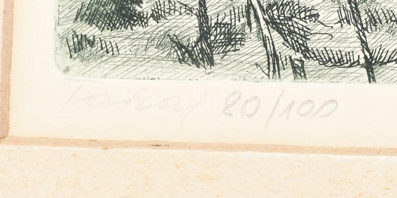 Csisztu Mihály (1933-2008) Tokaj. Rézkarc, papír. Jelzett. Számozott: 80/100, 19,5x34 cm. Paszpartuban. - Image 2