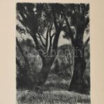 Iván Szilárd (1912-1988): Tájkép (cím nélkül). Rézkarc, papír, jelzett, 34×24,5 cm
