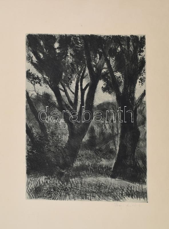 Iván Szilárd (1912-1988): Tájkép (cím nélkül). Rézkarc, papír, jelzett, 34×24,5 cm