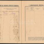 cca 1930 Ellenőrzési könyvecske 16p. - Image 3