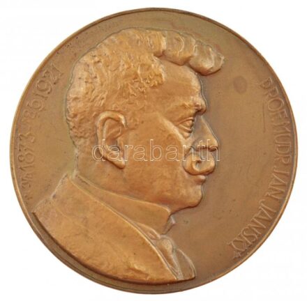 Csehország DN 'Professzor Dr. Jan Jansky 1873-1921 / Véradásért, életmentésért' kétoldalas bronz emlékérem (60mm) T:1-,2 patina Czech Republic ND ' Prof. MD Jan Jansky 1873-1921 / For donating blood, for saving lives' two-sided bronze