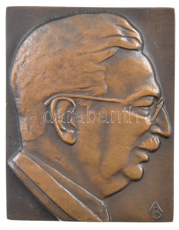 Beck András (1911-1985) 1977. 'Dr. Weil Emil 1897-1954, Jubileumi emlékülés 1977' öntött bronz plakett, hátoldalán gravírozva (68x53mm) T:1- hátoldalán ü.
