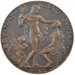 Reményi József (1887-1977) 1926. 'Dr. Pelláthy Béla / Egy nap, csak egy nap' kétoldalas bronz emlékérem (68mm) T:1- pár karc - Image 2