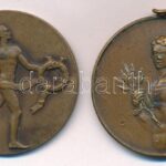 Iván István (1905-1968) 1950. 'Ker. Kardcsapat Bajn. Sopron 1950. II' bronz díjérem. Szign (41mm) + ~1940. Bronz díjérem, fül hajlott (40mm) T:2 patina - Image 2
