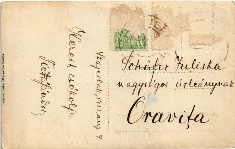 1923 Anina, Stájerlakanina, Stájerlak, Steierdorf; látkép. Hollschütz kiadása / general view (EK) - Image 2