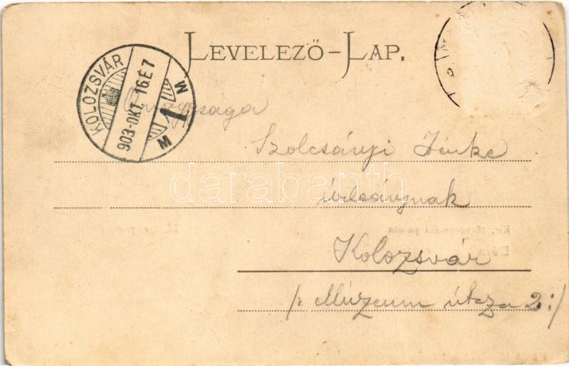 1903 Déva, Kir. törvényszéki palota, vár, M. kir. posta. Hirsch Adolf kiadása / court, castle, post office (fa) - Image 2