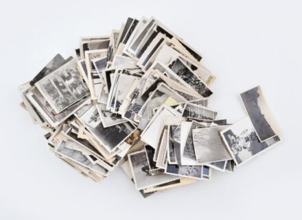 Kb. 290 db vegyes fénykép