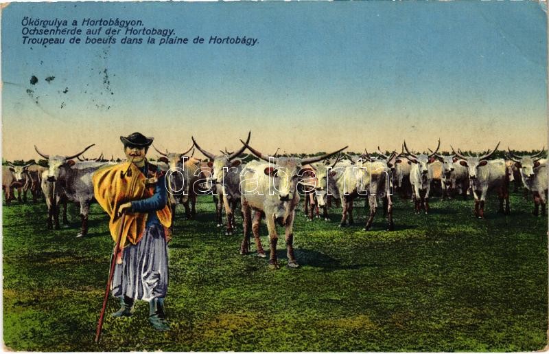 1913 Hortobágy, Ökörgulya a Hortobágyon, magyar folklór (szakadás / tear)
