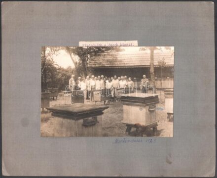 1923 Martonvásár, kirándulók a dúcok között, kartonra ragasztott, feliratozott fotó, felületén törésnyom, 12×17 cm