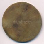 Fritz Mihály (1947-) DN 'Tömörkény István' egyoldalas bronz emlékérem (53mm) T:1- kis patina - Image 2