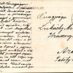 1912 Nagykikinda, Kikinda; Piactér, Schuld Péter üzlete. W.L. Bp. 2122. / market, shops (EK) - Image 2