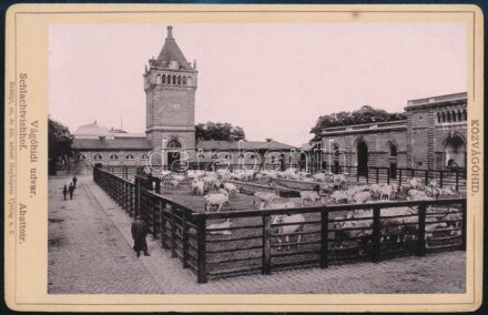 cca 1900 Budapest, Közvágóhíd, keményhátú fotó, Erdélyi cs. és kir. udvari fényképész, 10,5×16,5 cm