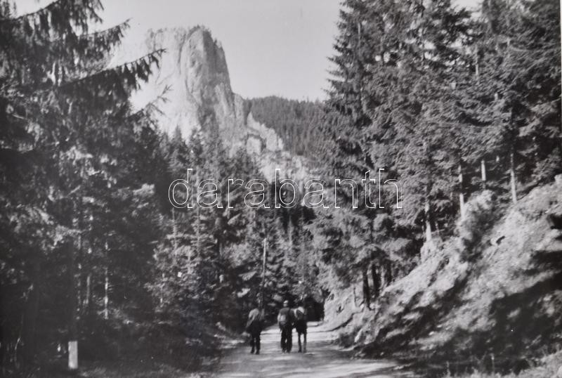 cca 1930-1940 Erdélyi tájképek, 29 db fotó, részben hátoldalon feliratozva, 17,5×23,5 cm - Image 2