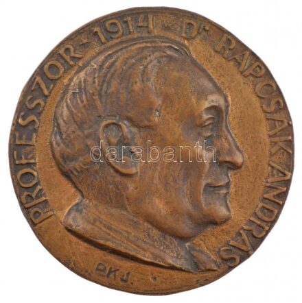 Pándi Kiss János (1905-1981) DN 'Professzor Dr. Rapcsák András 1914' egyoldalas bronz emlékplakett (97mm) T:1- kis patina