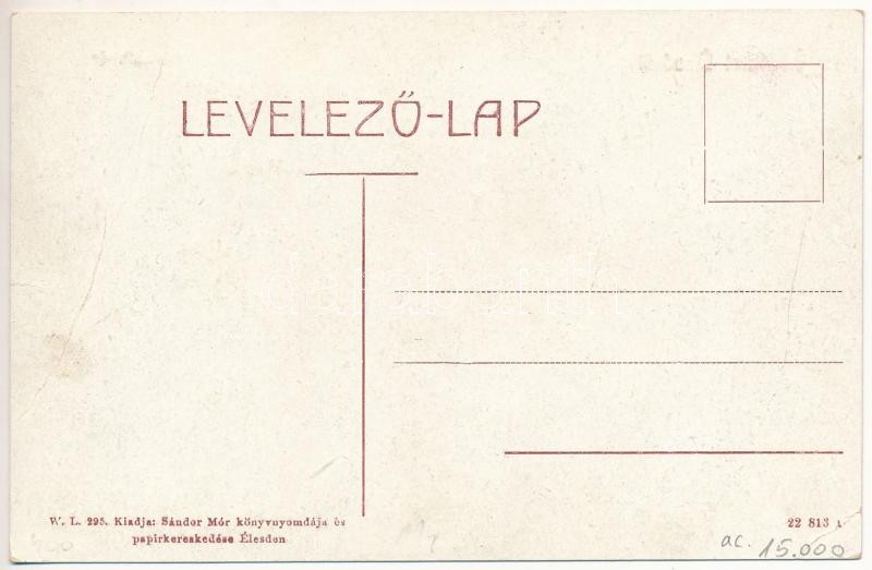 Élesd, Alesd; Kossuth tér, kút, Klein Bernáth és Jakabfi Jakab üzlete, Sándor Mór nyomdája, papírkereskedése és saját kiadása. W.L. 295. / square with well and shops (fa) - Image 2