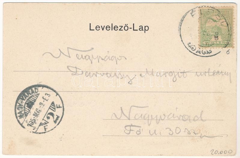 1905 Élesd, Alesd; Gróf Bethlen kastélya, városháza. Bock H. és Társa kiadása / castle, town hall. Art Nouveau, floral (EK) - Image 2