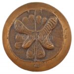Rétfalvi Sándor (1941-2021) 'Dr. Szentágothai (János) professzor' kétoldalas bronz emlékplakett (94mm) T:1-,2