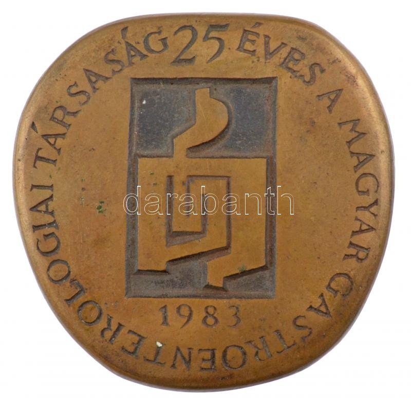 Kalmár Márton (1946-) 1983. '25 éves a Magyar Gastroenterologiai Társaság / Jubileumi Nagygyűlés Keszthely' kétoldalas bronz emlékplakett (82x82mm) T:2 patina