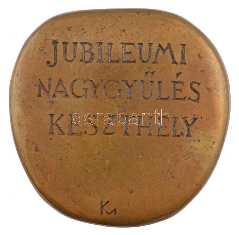 Kalmár Márton (1946-) 1983. '25 éves a Magyar Gastroenterologiai Társaság / Jubileumi Nagygyűlés Keszthely' kétoldalas bronz emlékplakett (82x82mm) T:2 patina - Image 2