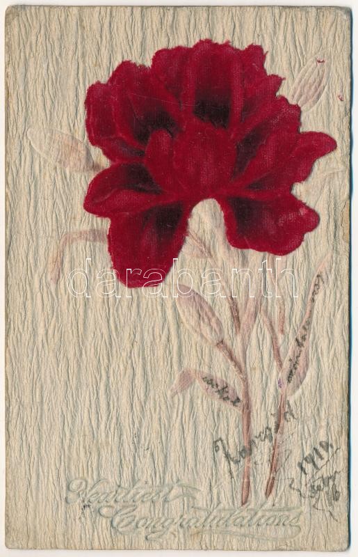 Bársonyvirág dombornyomott / Heartiest Congratulations. Silk greeting card with flower (EB)